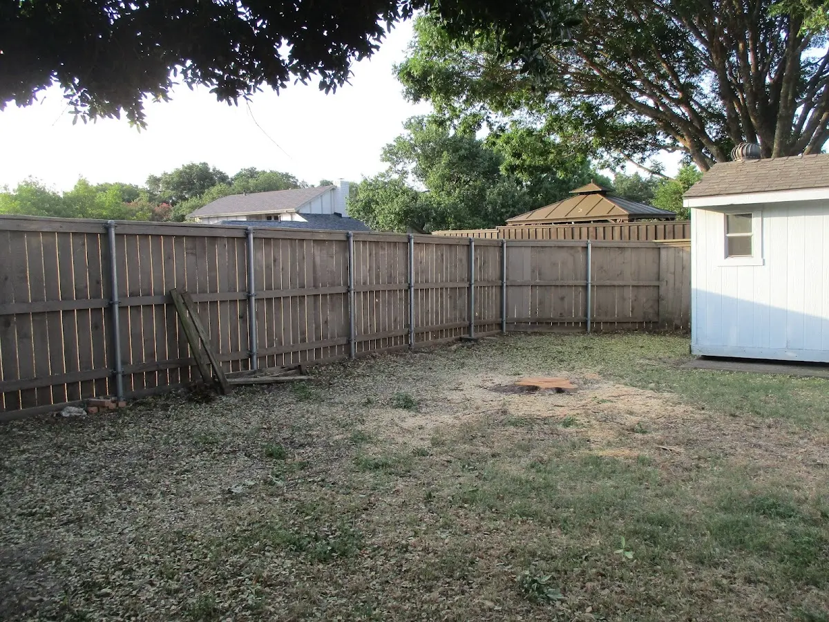 Cleared yard after professional tree removal in Spring City